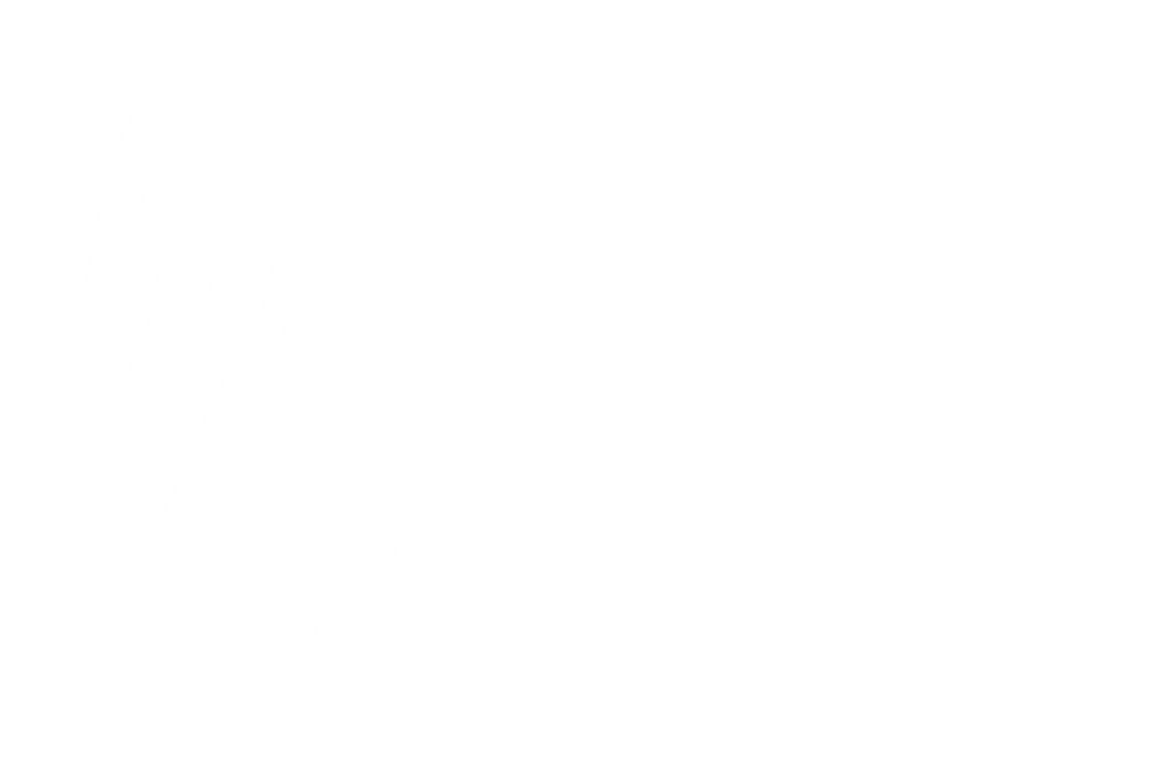 Massagepraktijk Bea van der Sluis